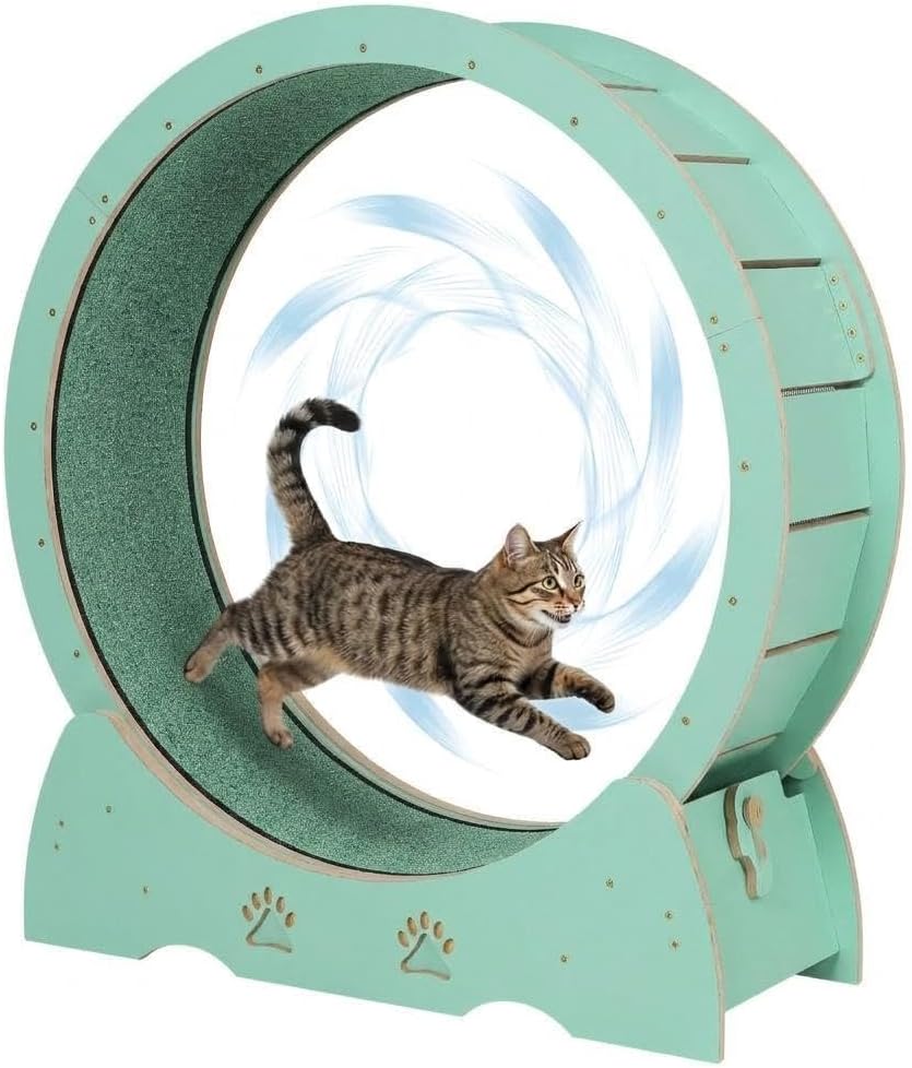 Roue d'exercice pour Chat en Bois silencieuse, Tapis Roulant d'intérieur pour Chat, Passerelle recouverte de Moquette Amovible