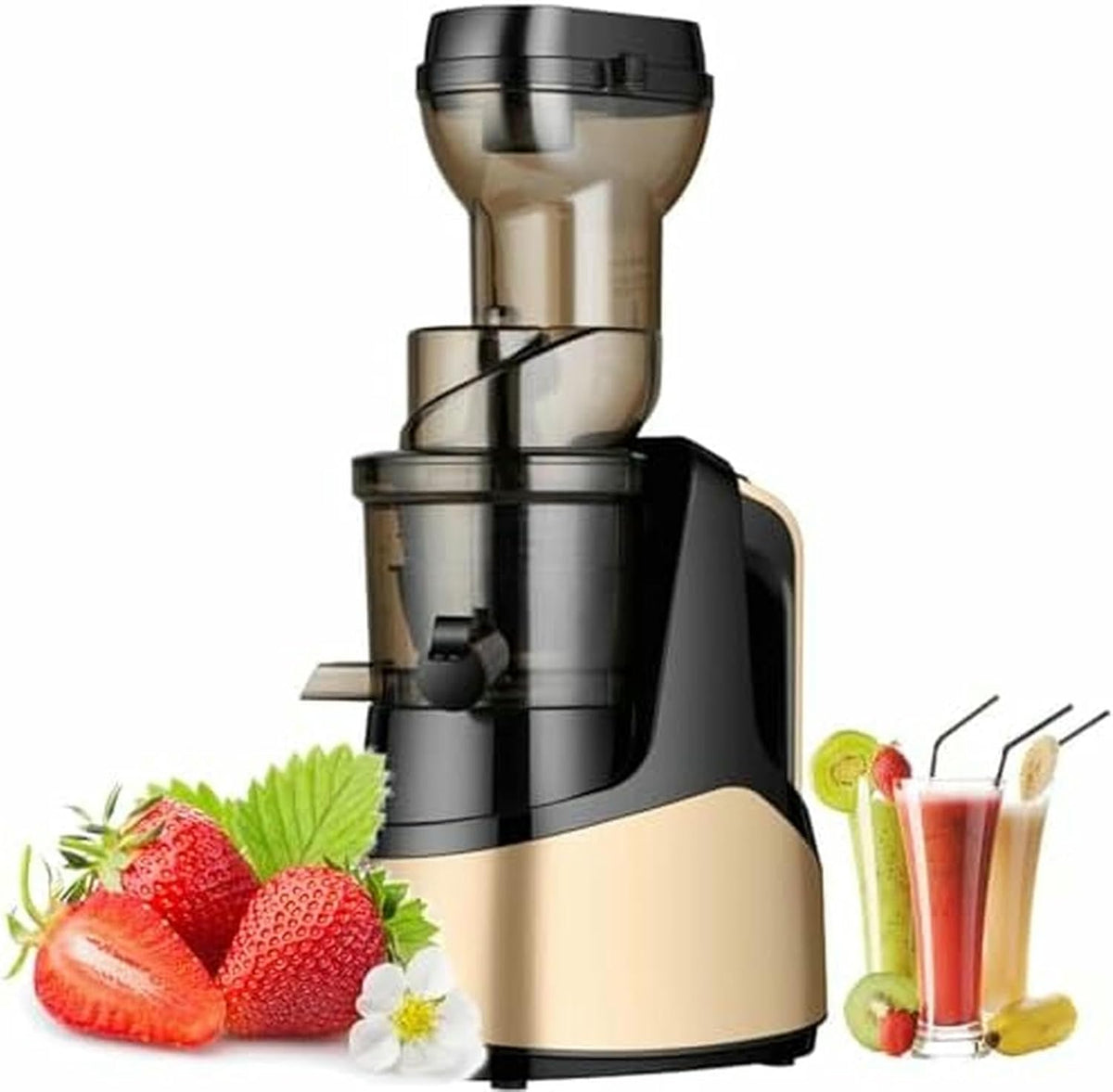 Extracteur de jus à Mastication Lente 1000 ML, 150 W, extracteur de jus Automatique à Pression à Froid avec Fonction Inverse pour Fruits Entiers